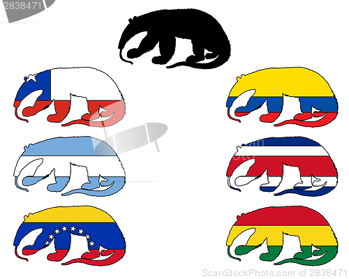 Image of Anteater flags