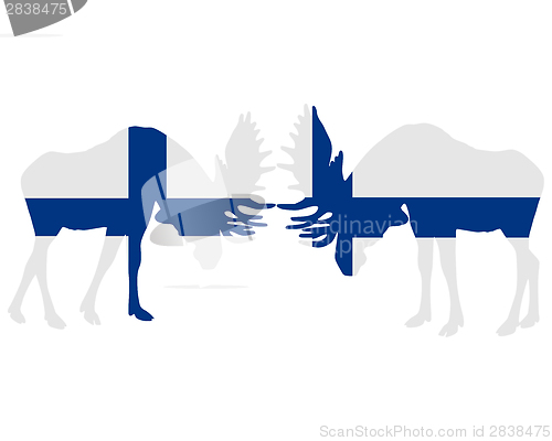 Image of Rutting moose in finnish flags