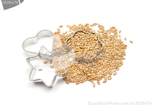 Image of Detailed but simple image of cookie cutter with wheat