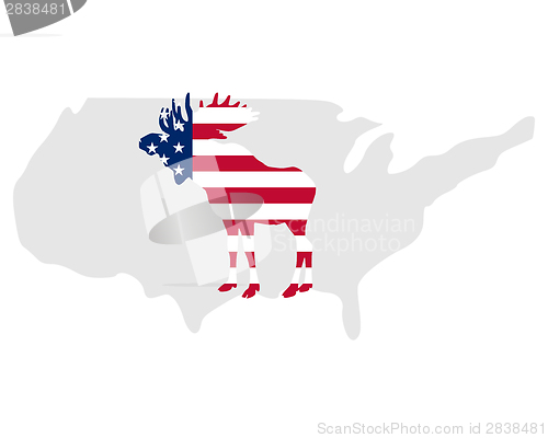 Image of American moose