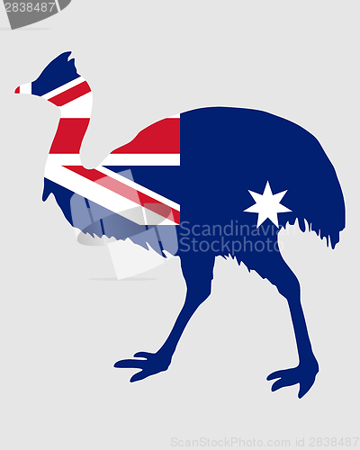 Image of Kassowary Australia