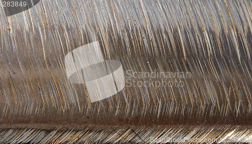 Image of Scratched metallic texture