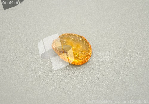 Image of Amber  on gray