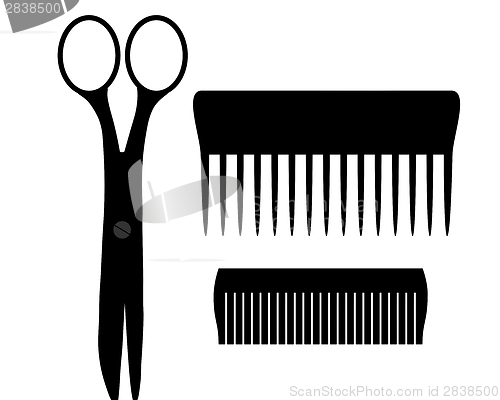 Image of Scissors and combs