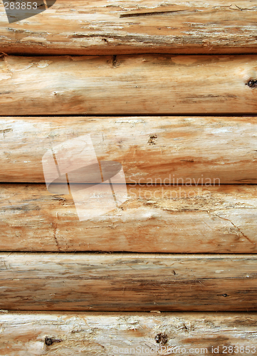 Image of Bright wooden log wall