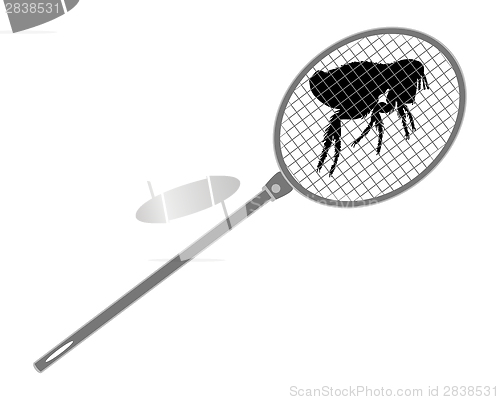 Image of The illustration of a gray fly swatter above a flea