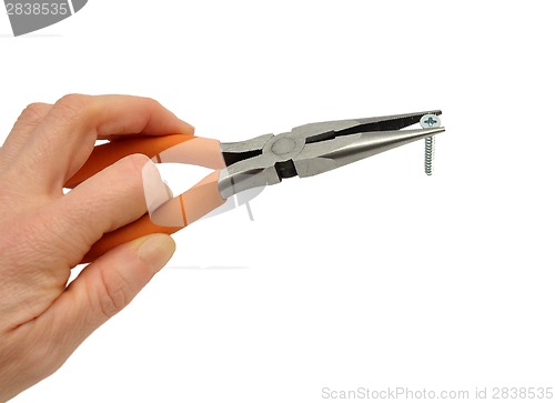 Image of Pliers in hand