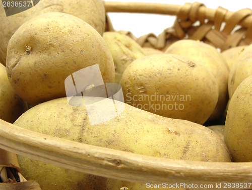 Image of A basket with potatoes on a white background