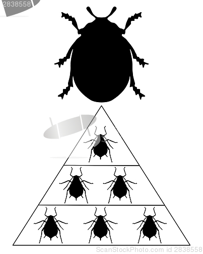 Image of Ladybird diet pyramid