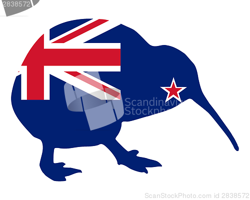 Image of New Zealand kiwi
