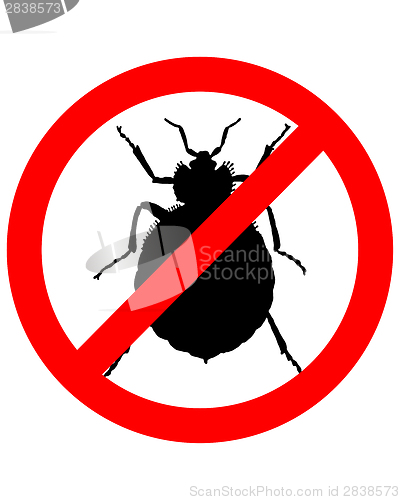 Image of Prohibition sign for bedbugs on white background