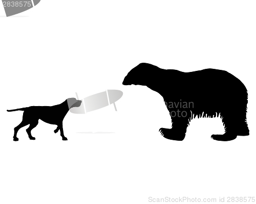 Image of Two animals, setter and ice bear meet face to face