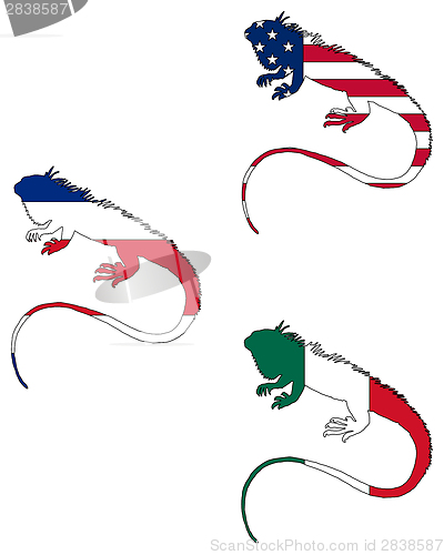 Image of Iguana flags