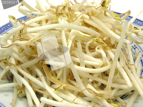 Image of Sprouts of beans in a close-up view on plate
