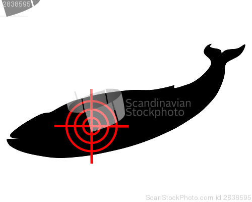 Image of Blue whale crosshair