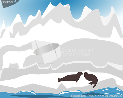 Image of Polar bear hunting for seal