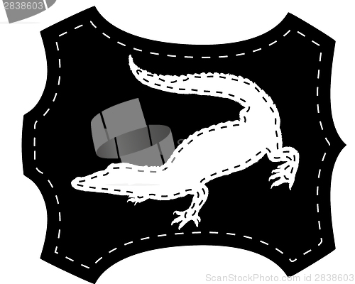 Image of Crocodile leather