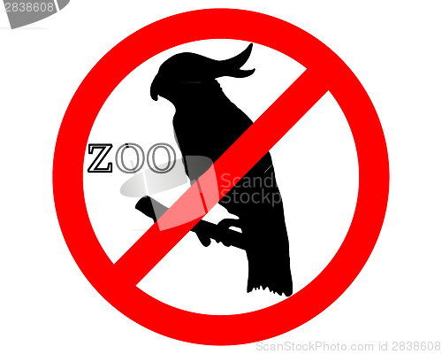 Image of Cockatoo in zoo prohibited