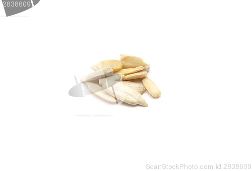 Image of Detailed but simple image of sunflower seed