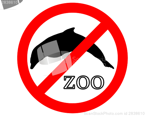 Image of Dolphins in zoo prohibited