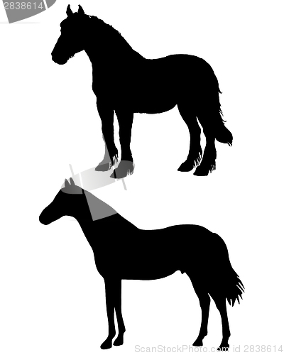 Image of Horses silhouettes