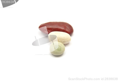 Image of Detailed but simple image of legumes on white