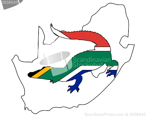 Image of Crocodile South Africa