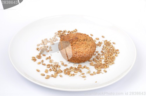 Image of Muffin
