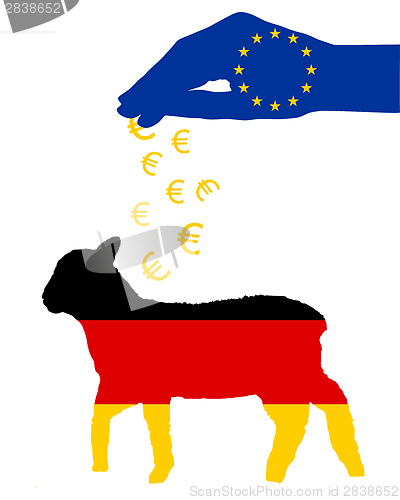 Image of German lamb and european subsidies