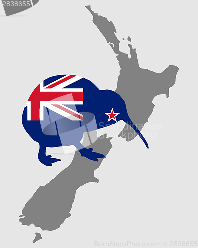 Image of New Zealands kiwi