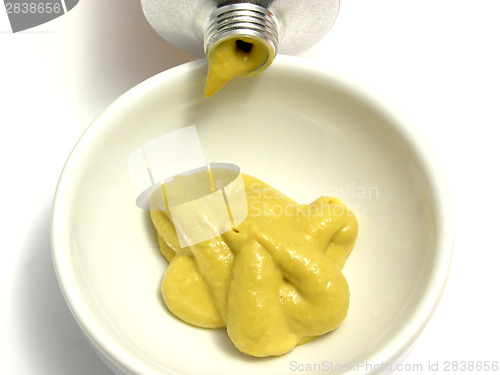 Image of Mustard in a little bowl with mustard tube