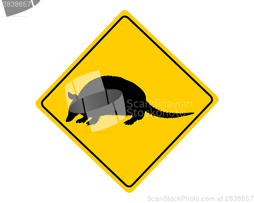 Image of Armadillo warning sign