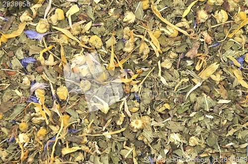 Image of Detailed but simple image of mixed herbs