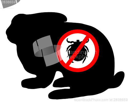 Image of Bunny tick prohibited