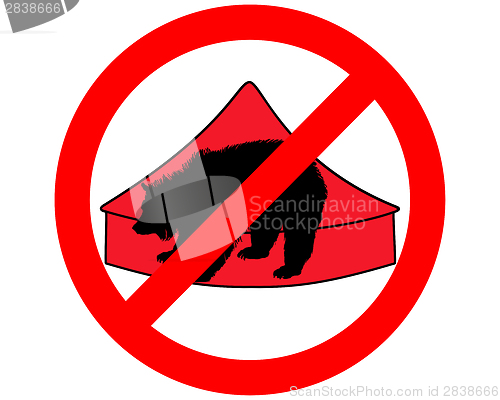 Image of Grizzly bear in circus prohibited