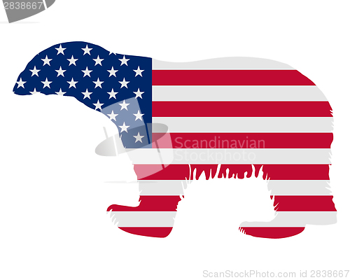 Image of American polar bear