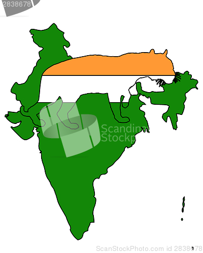 Image of India tiger