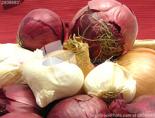 Image of Onions and garlics in a basket in front of red background