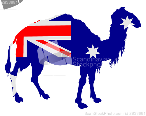 Image of Flag of Australia with camel