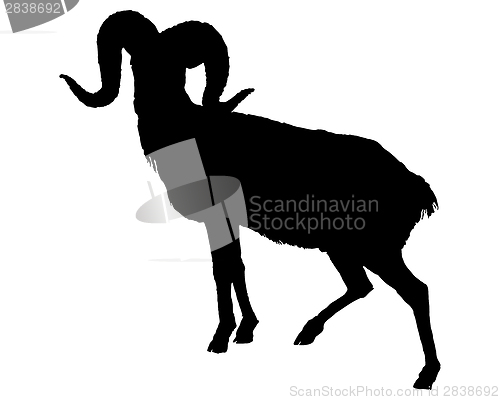 Image of The black silhouette of a ram on white 