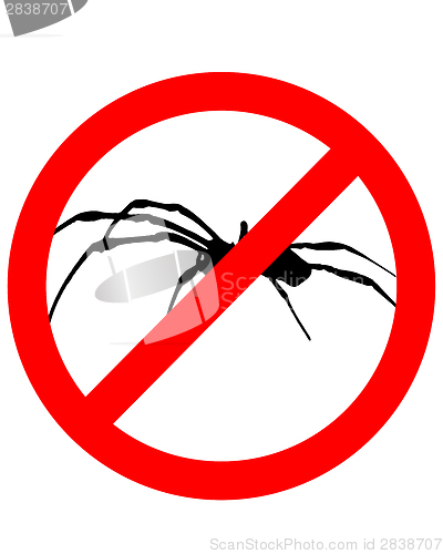 Image of The illustration of a prohibition sign for spiders