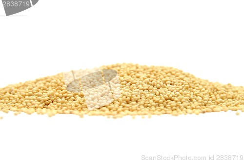 Image of Millet on white