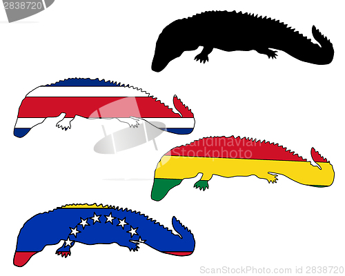 Image of Caiman flags