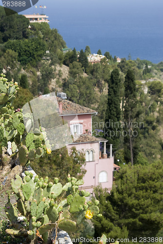 Image of garden in sicily