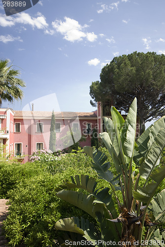 Image of garden in sicily