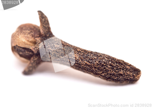 Image of clove