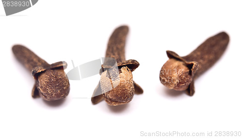 Image of cloves