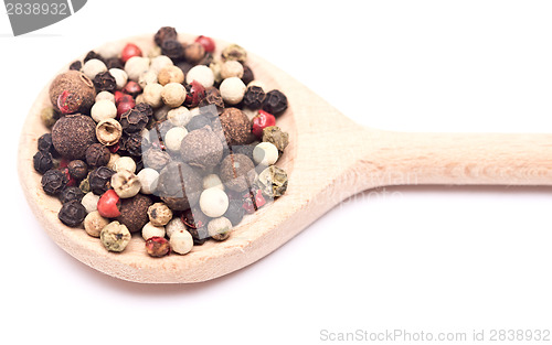 Image of pepper mix