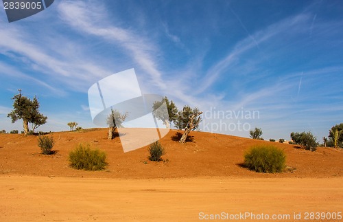 Image of Scenic desert landscape