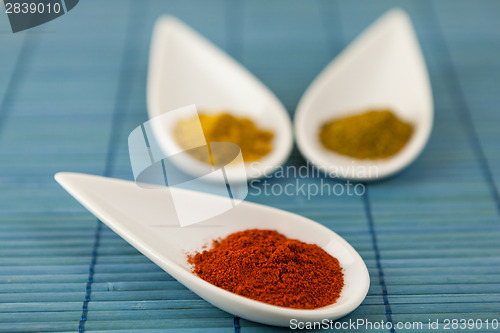 Image of Dried ground spices in ceramic spoons